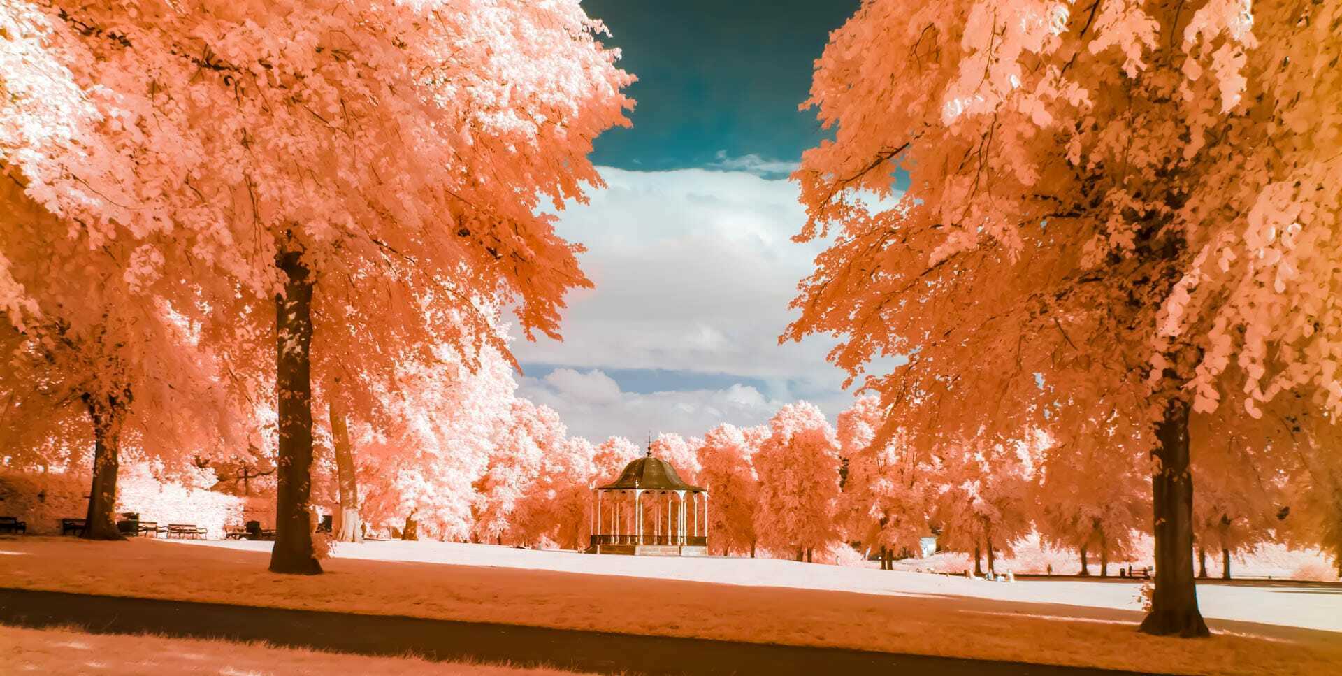 Infrared Photography Processing