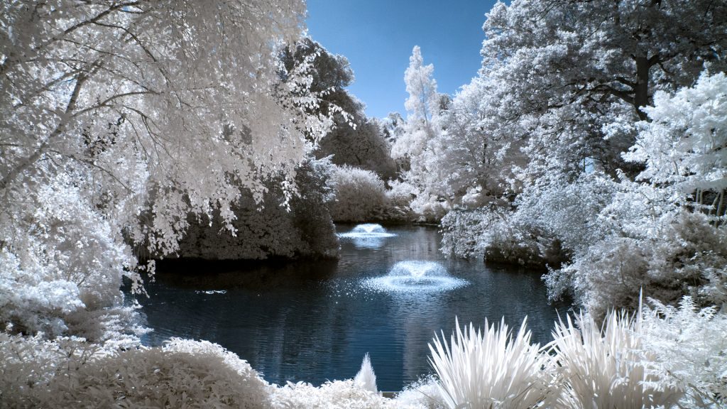 infrared photography guide