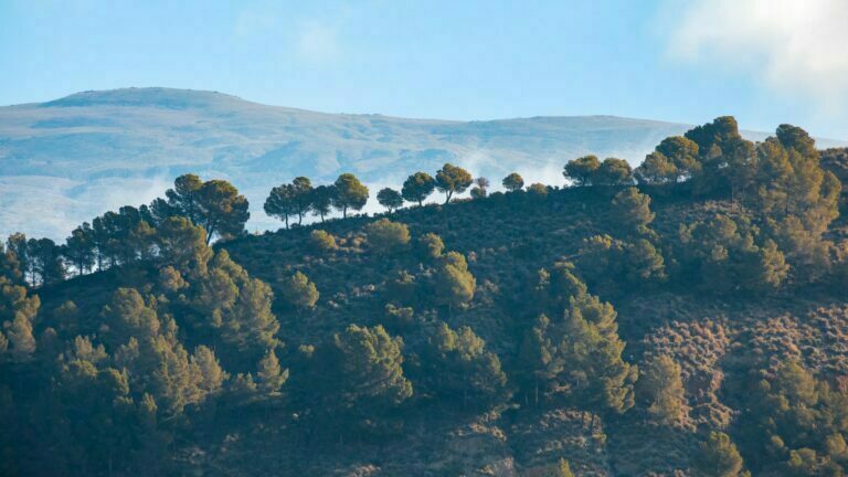 Dodging and Burning Using Adobe Lightroom