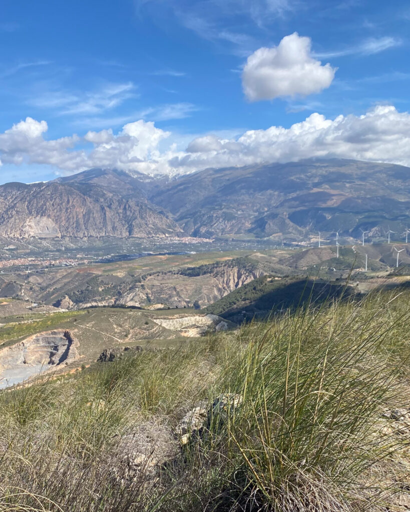 View from the Atalaya de Marchal