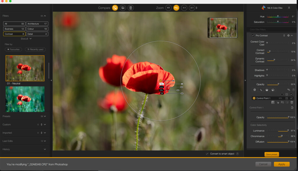 Color Efex with Control Point and Muted Global Filter