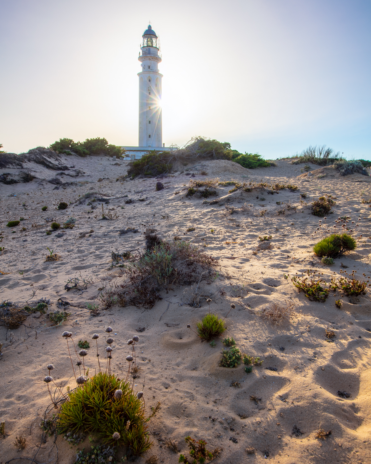 Phare de Trafalgar Faro de Trafalgar