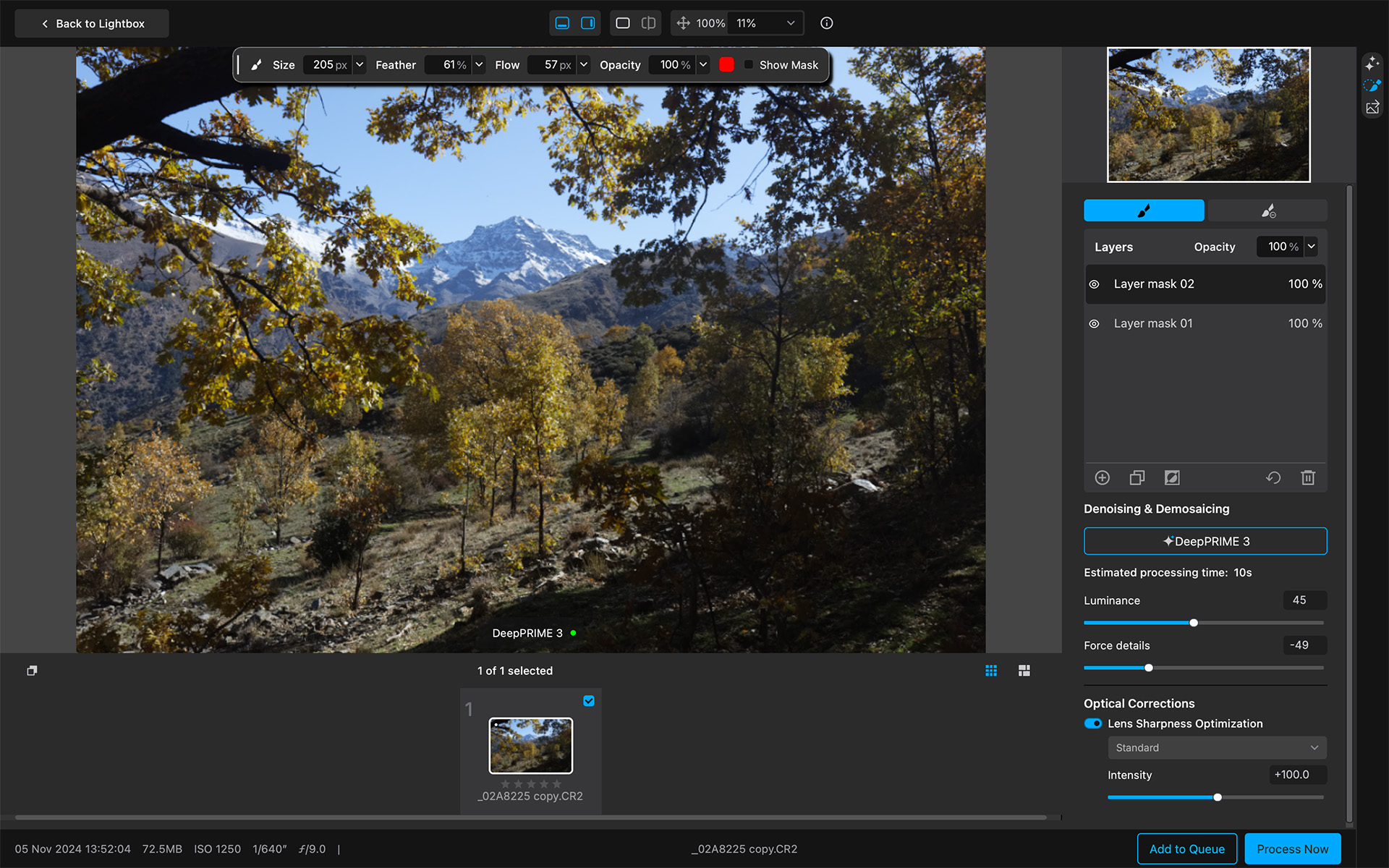 DxO PureRAW 5 Masks Screen