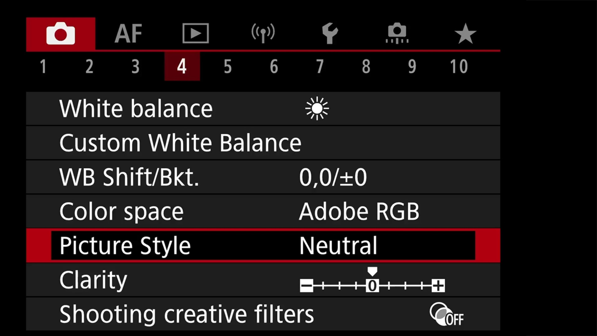 In Camera Picture Styles