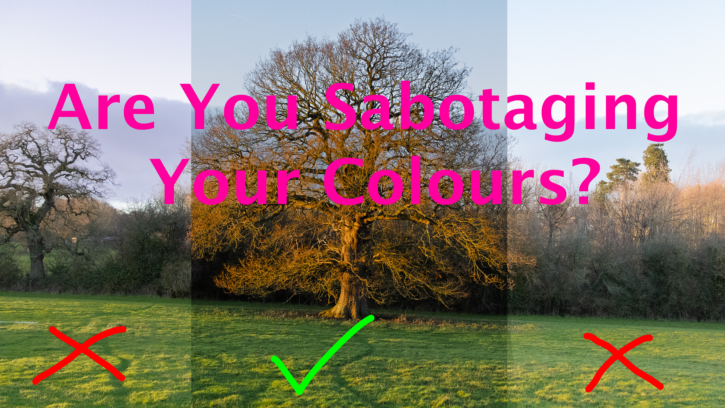 Common Color Issues